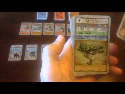 Rise of Man: Stone Age - Resource Cards - closer look