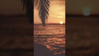 Download lagu Story Wa Armada - Penantian mp3