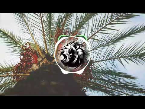 S A X S E D U C E - Raiguetss Saah 2K18