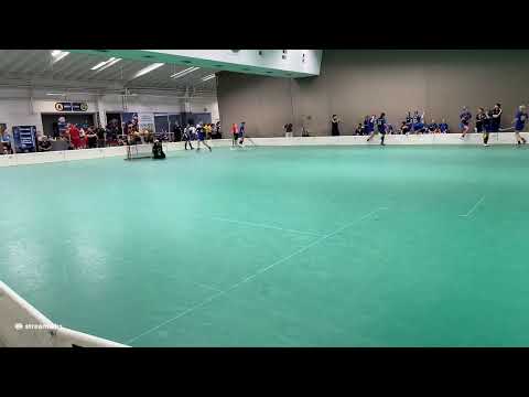 Loisto Cup 15.8.2020  B EräViikingit - SSRA