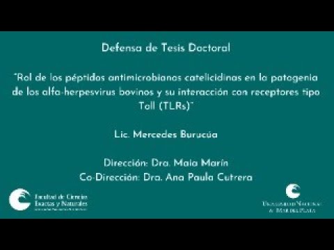 , title : 'Defensa de Tesis Doctoral - Lic. Mercedes Burucúa'