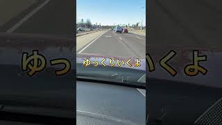 道路に肉球!? イリノイ州カーボンデールで見つけたサルーキ犬の足あと🐾 #アメリカ#旅