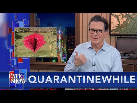 Quarantinewhile... Giant Brazilian Vagina Sculpture Sparks Controversy