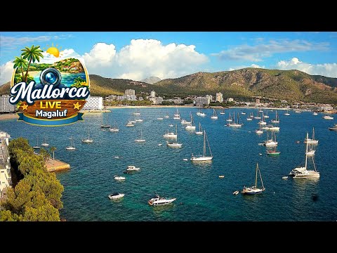 Magaluf/Palmanova thumbnail