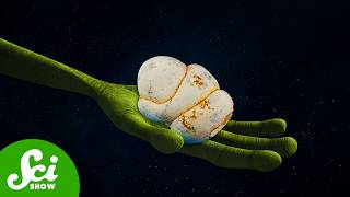Why People Thought "Aliens" Made These Rocks