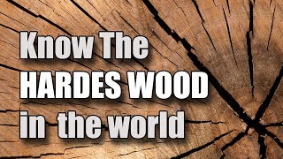 LIGNUM VITAE | The World&#39;s Hardest Wood