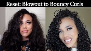 Curly Hair Reset | Blowout to Bouncy Curls