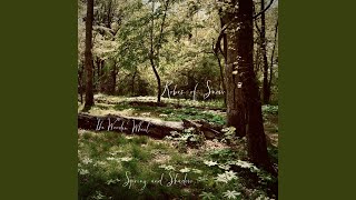 Music video thumbnail preview for Where the Wild Horses Last Grazed by Robes of Snow
