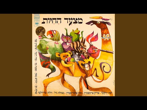 קן-צפור