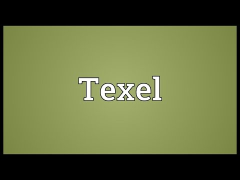 Texel Meaning