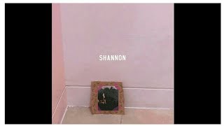 [AUDIO] Shannon Williams (샤넌) – Hatred Farewell (미워해 널 잘 지내지는 마)