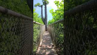 Clapton Floating Bridge