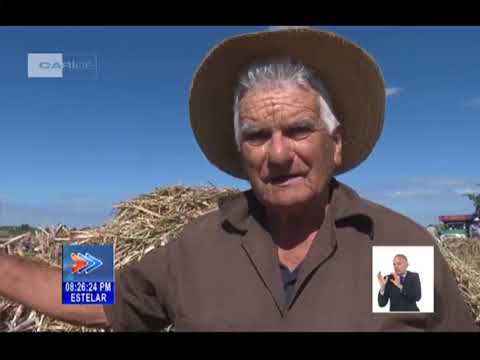 Recorrió Vice Primer Ministro cubano importantes centros económicos en Cienfuegos