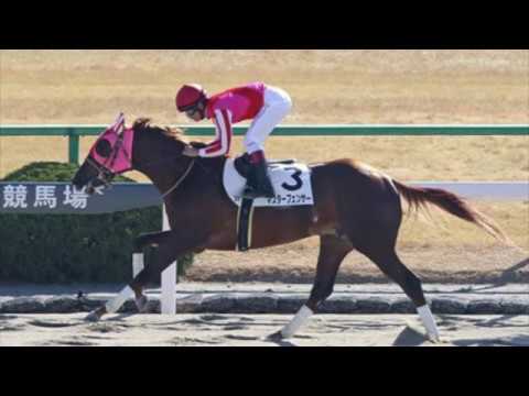 Derby Profile: Master Fencer