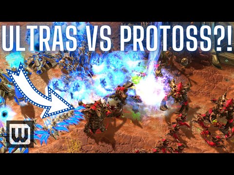 Starcraft 2: NINA THE HECK - WHY U NO MACRO? (eXoN Cup Finals)