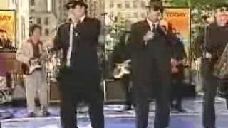 Blues Brothers - Flip Flop and Fly