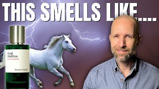 Video thumbnail 4