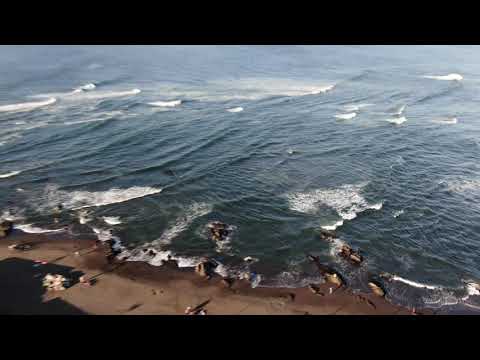 PICHILEMU  - VI REGIÓN  - CHILE  [15 Noviembre 2020]