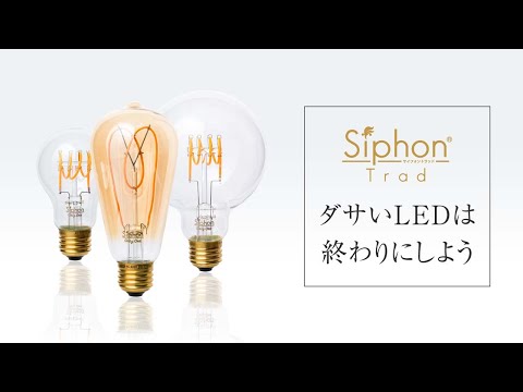 南向きのバルコニーテラス用の観葉植物の鉢植え
