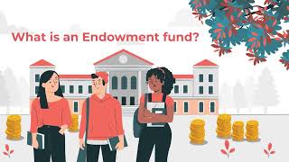 How does an Endowment Fund work | What is an Endowment Fund - Explained