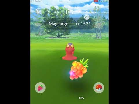 MAGCARGO IV 100 CP 1531 LIV 34