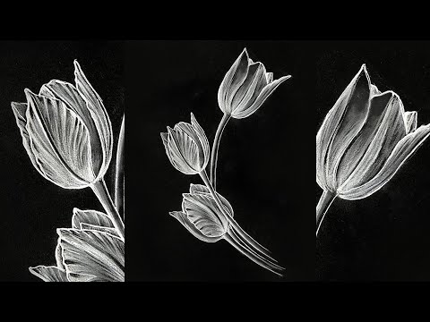 Drawing for Beginners Step by Step | Day 011 Part 1 | Basic Pencil Shading Technique Part 1