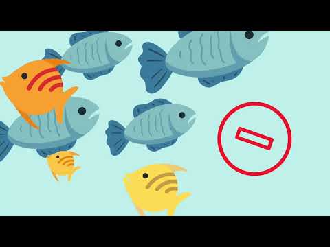 Video: Eutrophication