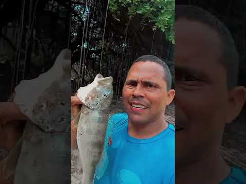 rio xavante em Gurupi Tocantins, fartura de peixe