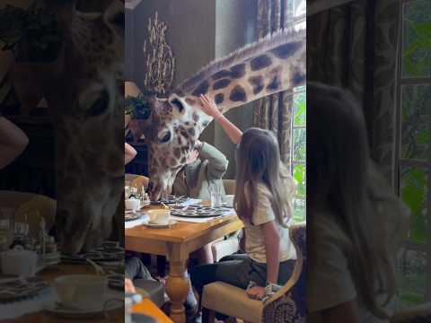 Most Beautiful Places in Kenya 🇰🇪😱#nature #adventure #travel