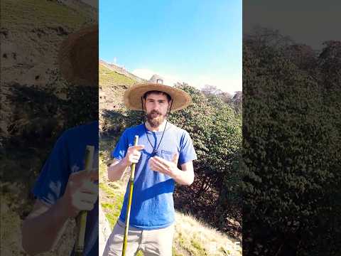 Zaka’s Mardi Himal Trek Review