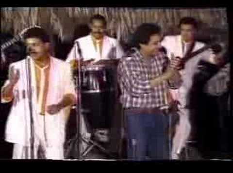 Gaviota Herida Juancho Rois