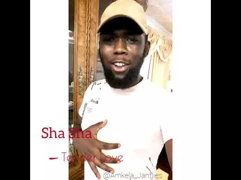 Sha Sha-Tender love