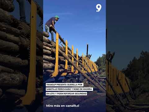 Transap presenta querella por sabotaje ferroviario y robo de madera en Lota y piden reforzar segurid