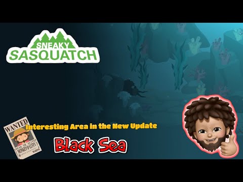 Sneaky Sasquatch - Interesting Area -  Black Sea | Bug or Not