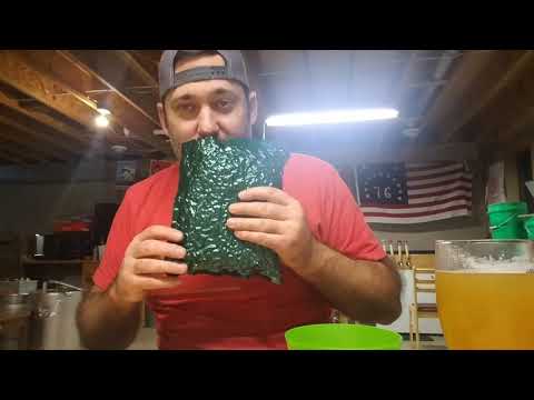 HBW 95 - Raw IPA 101 - Dry Hop 1