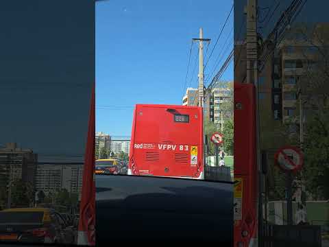 Red Movilidad | Par de Buses ZhongTong en San Miguel.