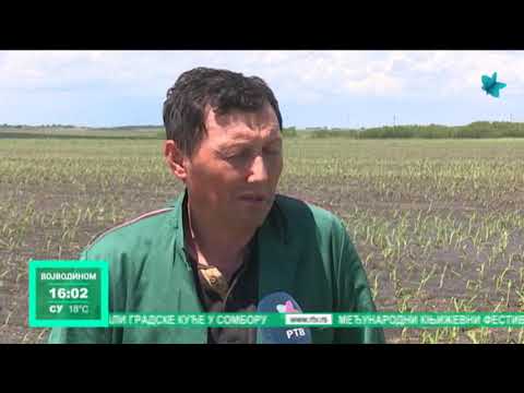 Vanredna situacija u Banatskoj Topoli, led naneo štetu i u Bašaidu