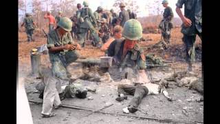 Brothers in Arms Vietnam war