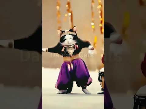 Cute cats dancing #shorts #viral #ytshorts #bellydance