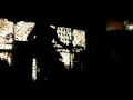 Cass McCombs - Buried Alive (Live in Madison, WI)
