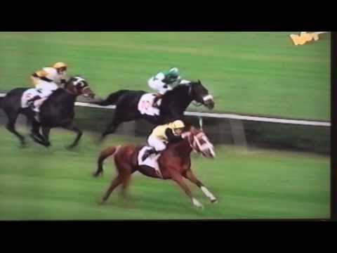 Wielka Warszawska - 8.10.1995 - Wolarz (Vilnius - Wega)