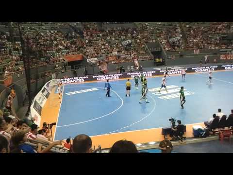 BM Atlético de Madrid-Helvetia Anaitasuna