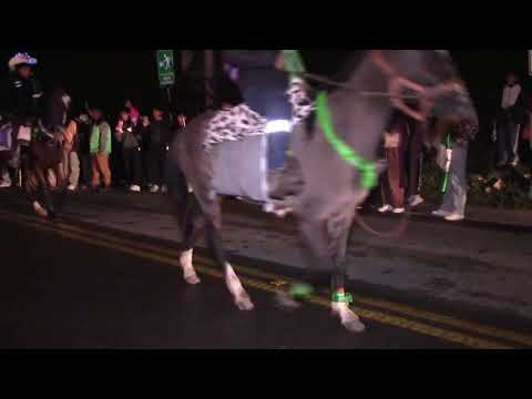 "LAS SANTISIMAS CRUCES DE MATAKAKA Y DOS DE MAYO" DE SAN MATEO DE HUANCHOR - HUAROCHIRI