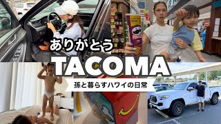 孫と暮らすハワイの日常/ ありがとうTACOMA/孫2歳7ヶ月/#ハワイ 暮らし /家族vlog #family #hawaii #honolulu