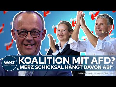 Video Thumbnail: FRIEDRICH MERZ: Brandmauer gefallen? Koalition mit AfD? Aktuelles CDU-Dilemma mit Koalitionsoptionen