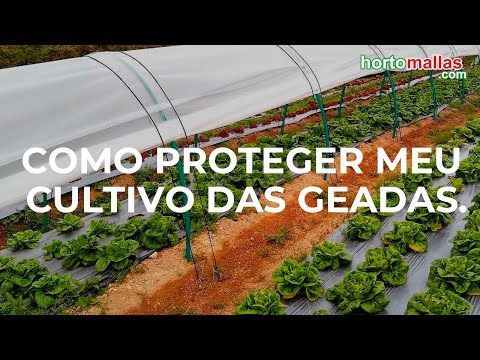 , title : 'Como proteger meu cultivo das geadas.