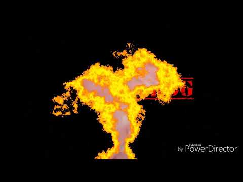 BIG DOG - T Major x OG PayJoe