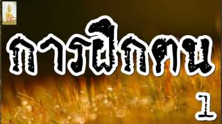 การฝึกตน 1/2 @ พระอาจารย์สมภพ โชติปัญโญ