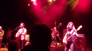 Turin Brakes - Guess You Heard