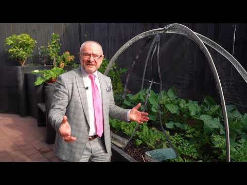 27a Hawkins St - Michael Ataman